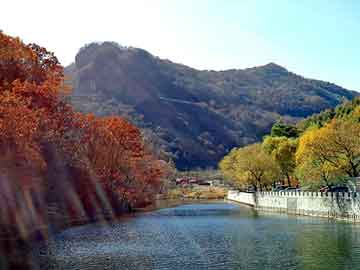 新澳天天开奖资料大全旅游团，溶剂回收